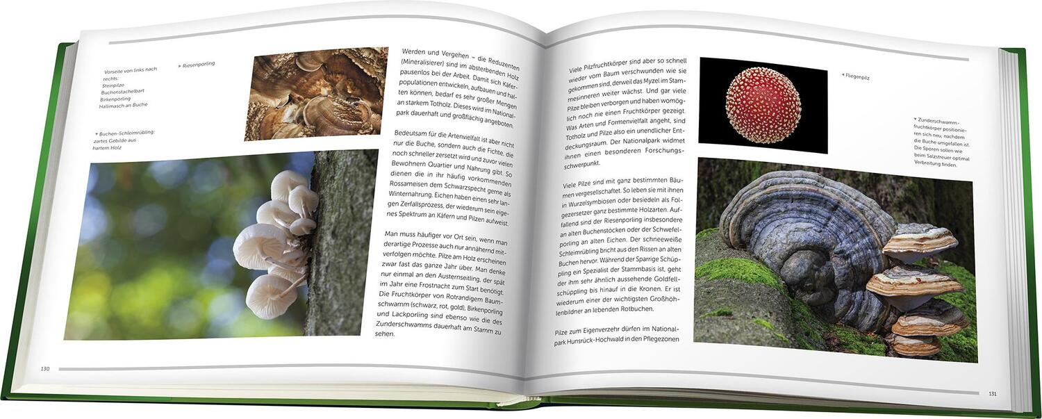 Bild: 9783943969184 | Nationalpark Hunsrück-Hochwald | Konrad Funk | Buch | 192 S. | Deutsch