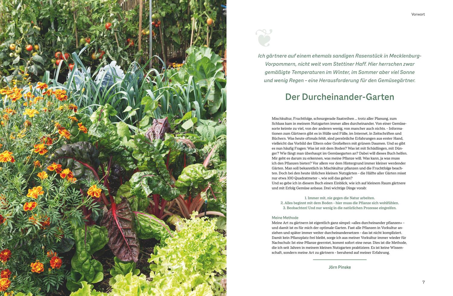Bild: 9783967470659 | Der optimale Gemüsegarten | Jörn Pinske | Buch | 192 S. | Deutsch