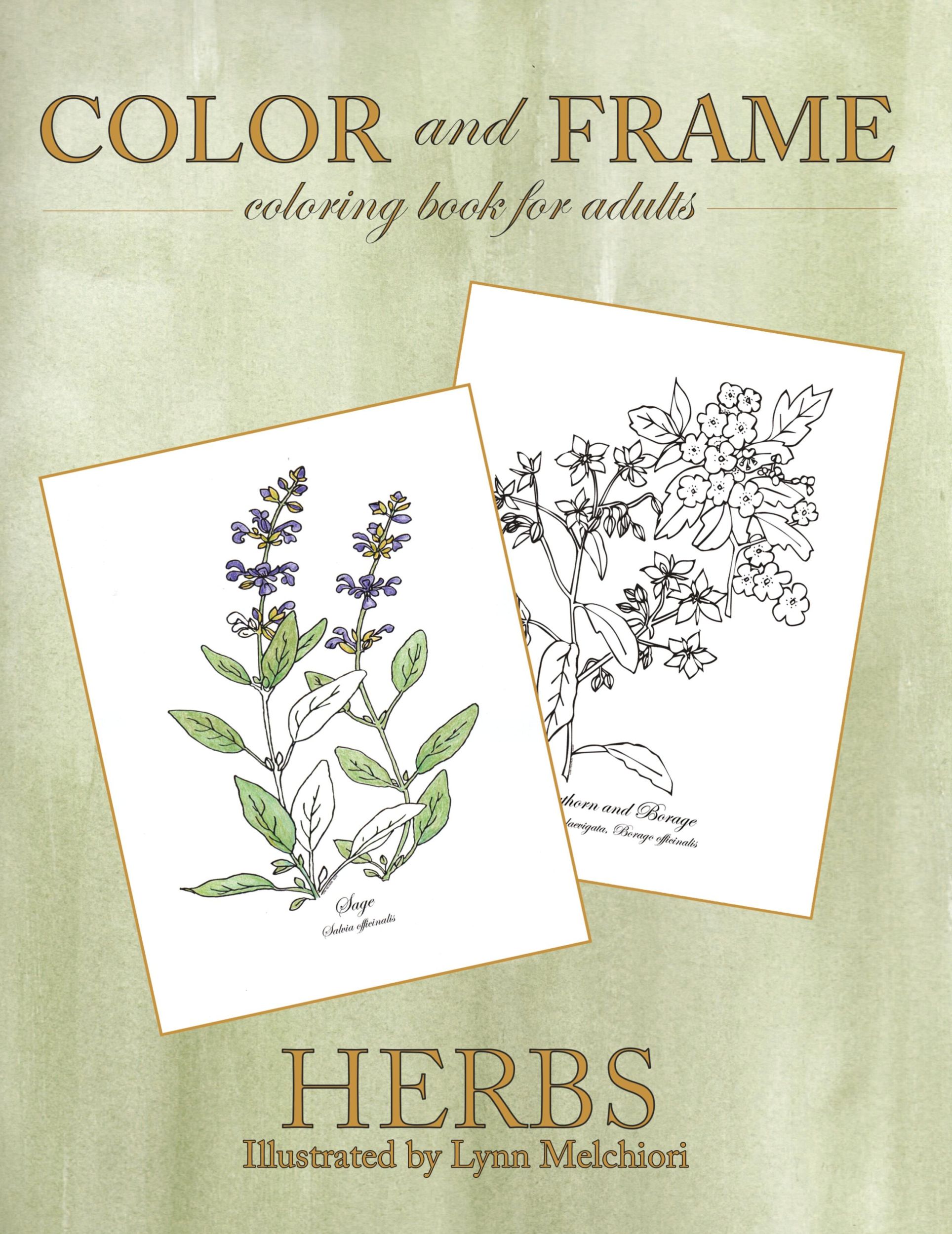 Cover: 9781943232109 | Color and Frame | Herbs | Lynn Melchiori | Taschenbuch | Englisch