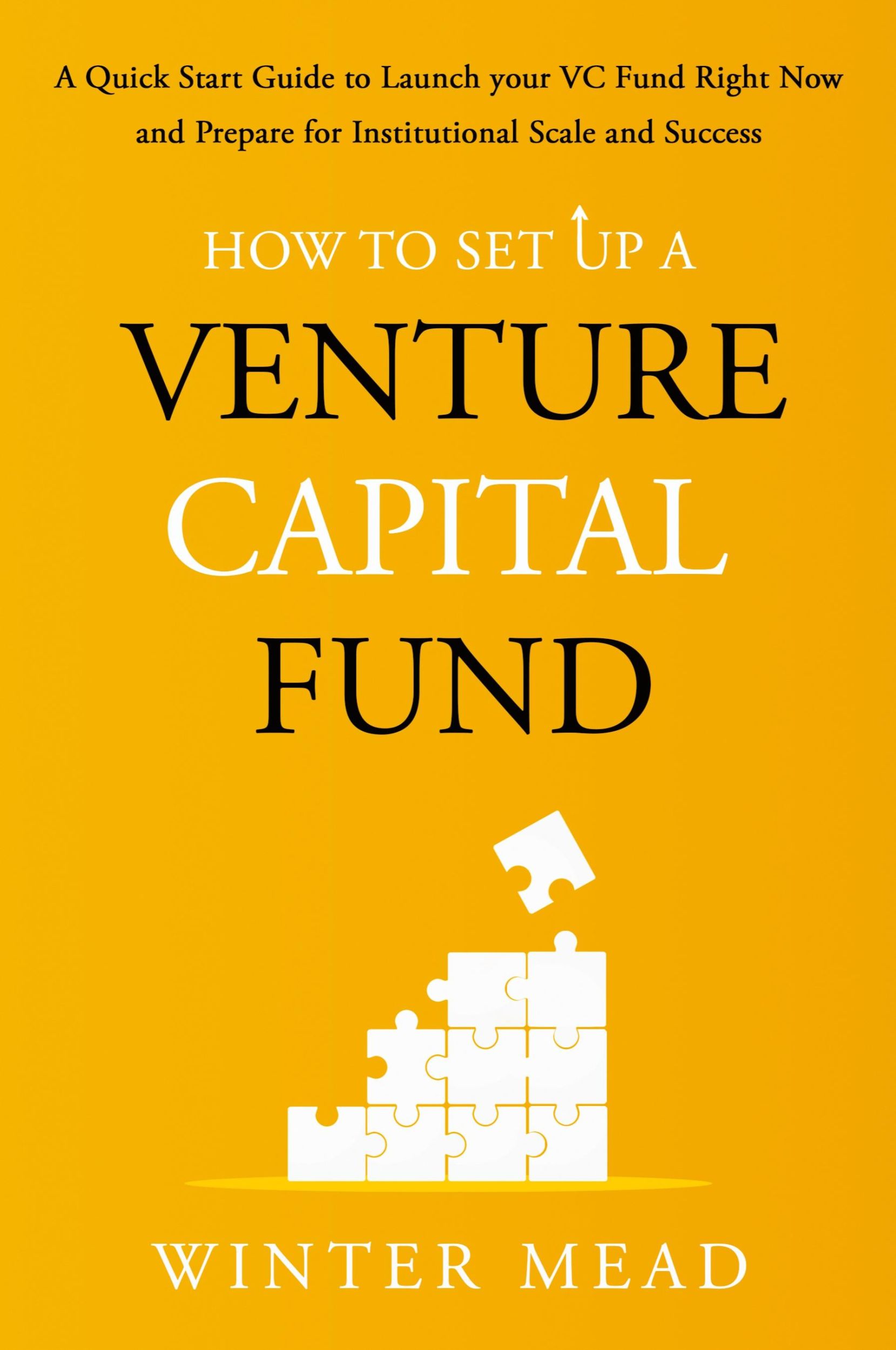 Cover: 9798990772601 | How To Set Up A Venture Capital Fund | Winter Mead | Taschenbuch