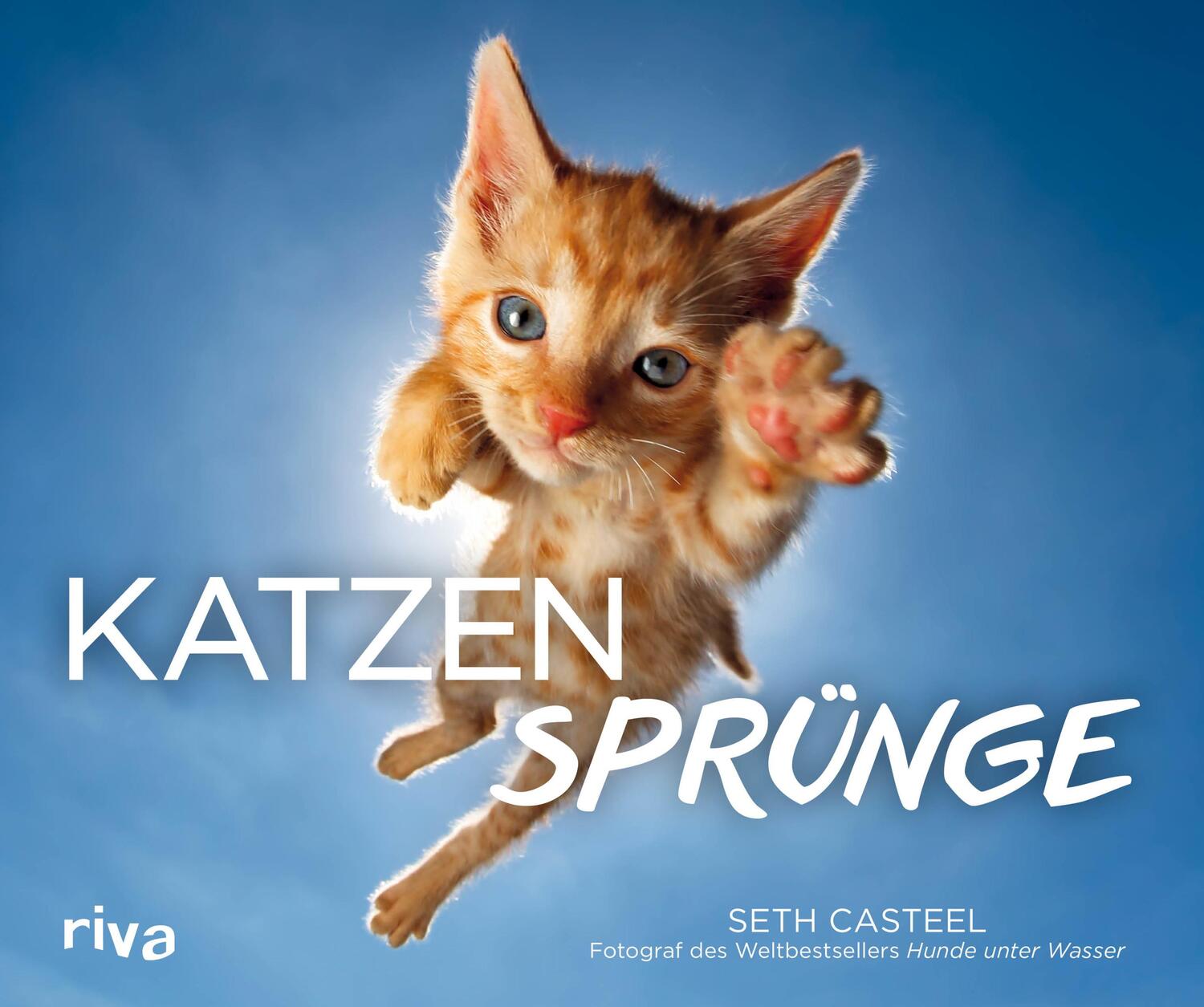 Cover: 9783742311719 | Katzensprünge | Seth Casteel | Buch | 112 S. | Deutsch | 2020 | riva
