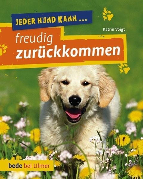 Cover: 9783800178544 | Jeder Hund kann freudig zurückkommen | Dr Katrin Voigt | Taschenbuch