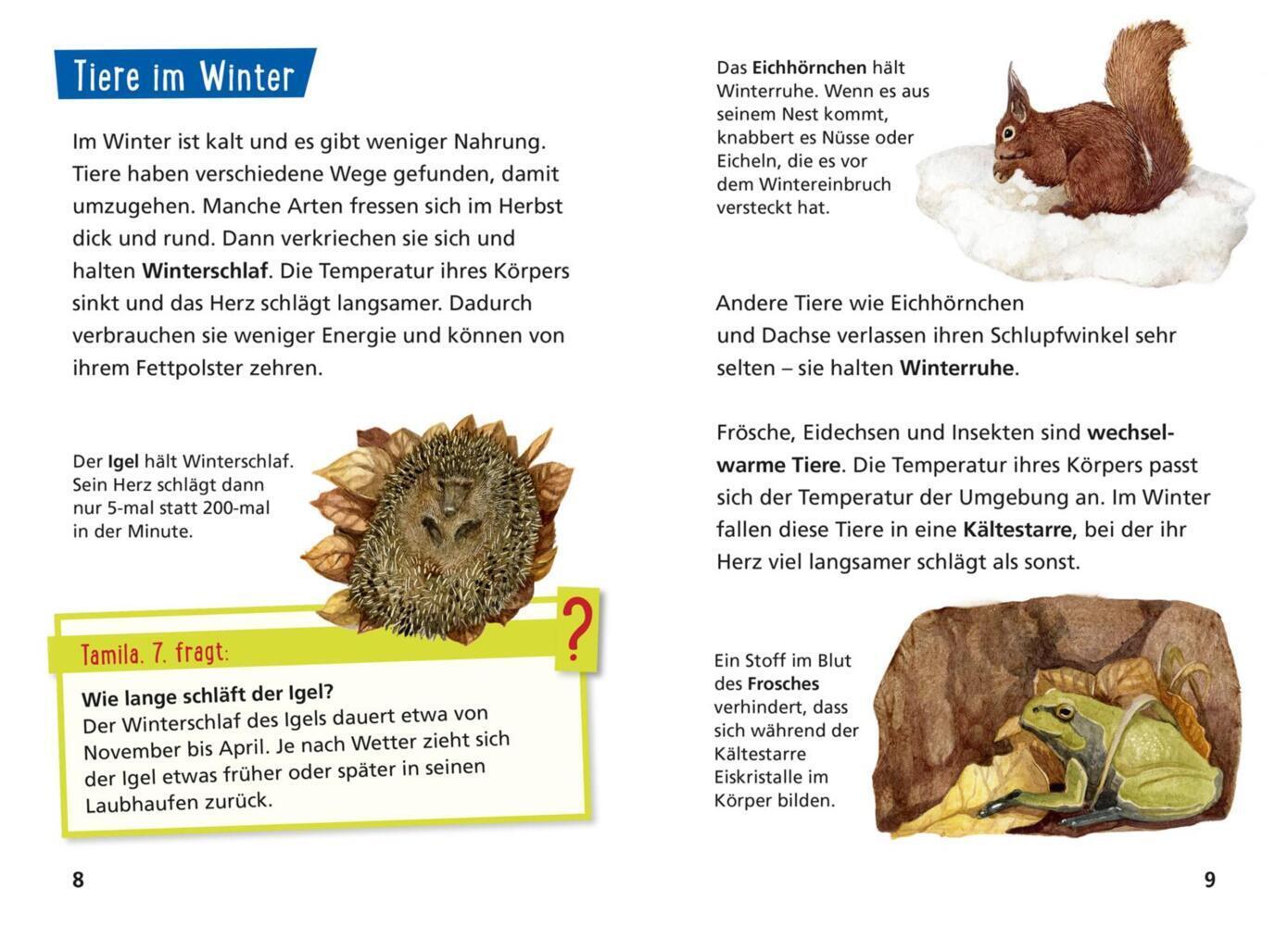 Bild: 9783551242075 | Pixi Wissen 49: Die Jahreszeiten | Monika Wittmann | Taschenbuch