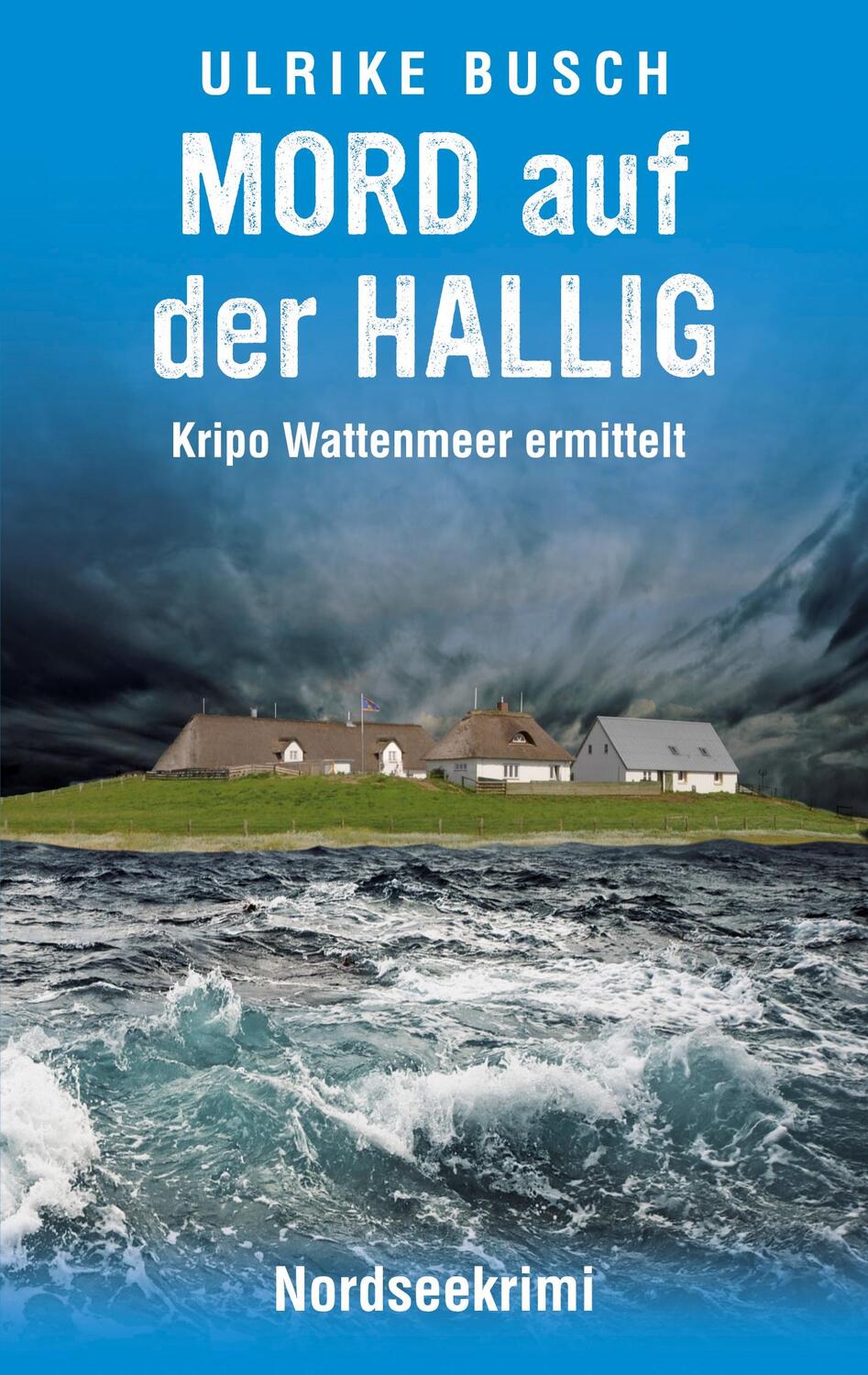 Cover: 9783752644289 | Mord auf der Hallig | Nordseekrimi | Ulrike Busch | Taschenbuch