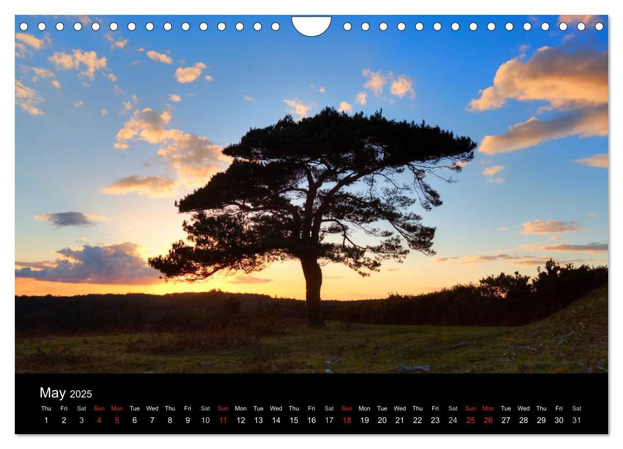 Bild: 9781325951833 | New Forest Hampshire (Wall Calendar 2025 DIN A4 landscape),...