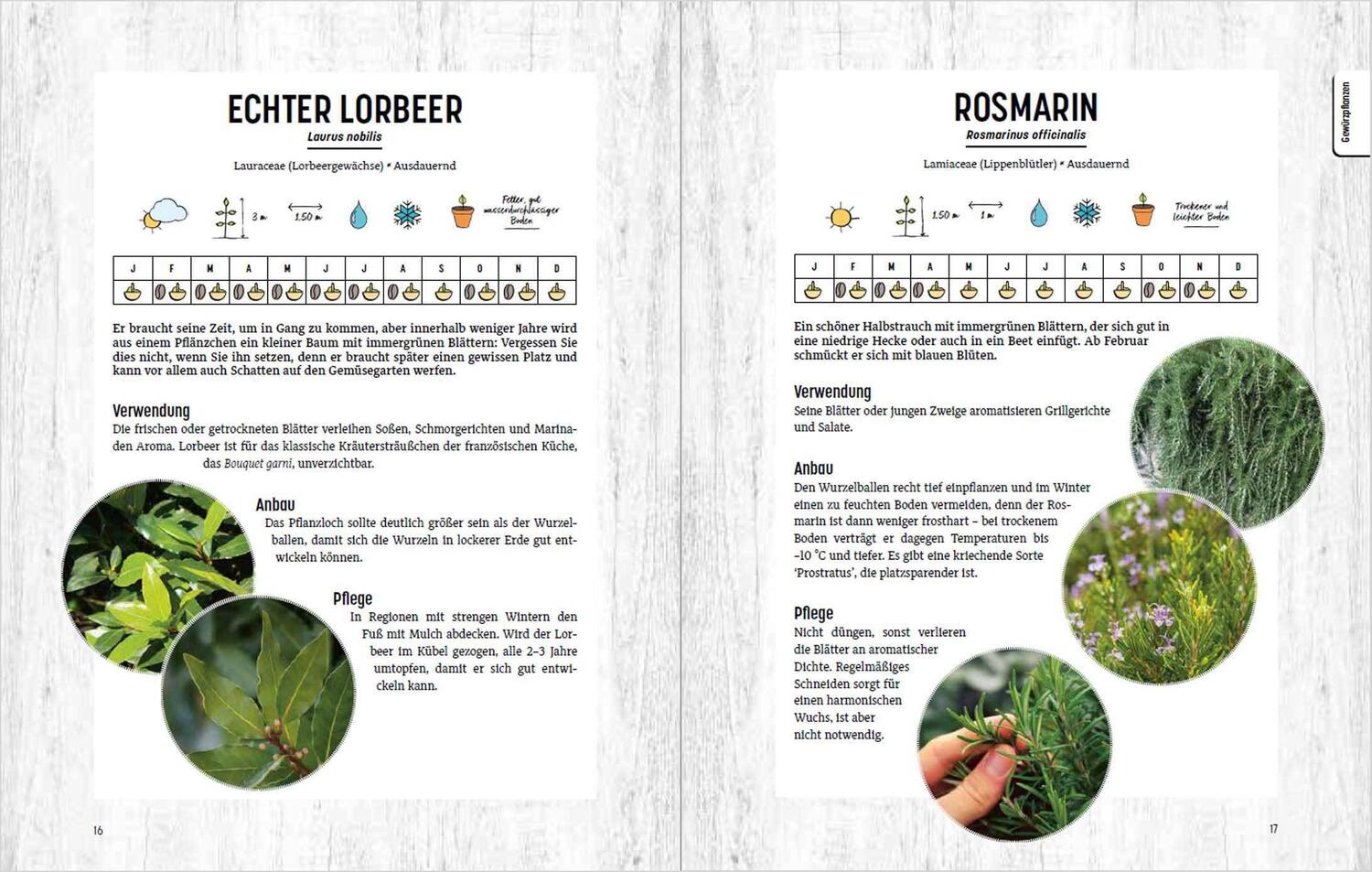 Bild: 9783809444657 | Erntefrisches Wintergemüse selbst anbauen. 34 Pflanzenporträts &amp;...