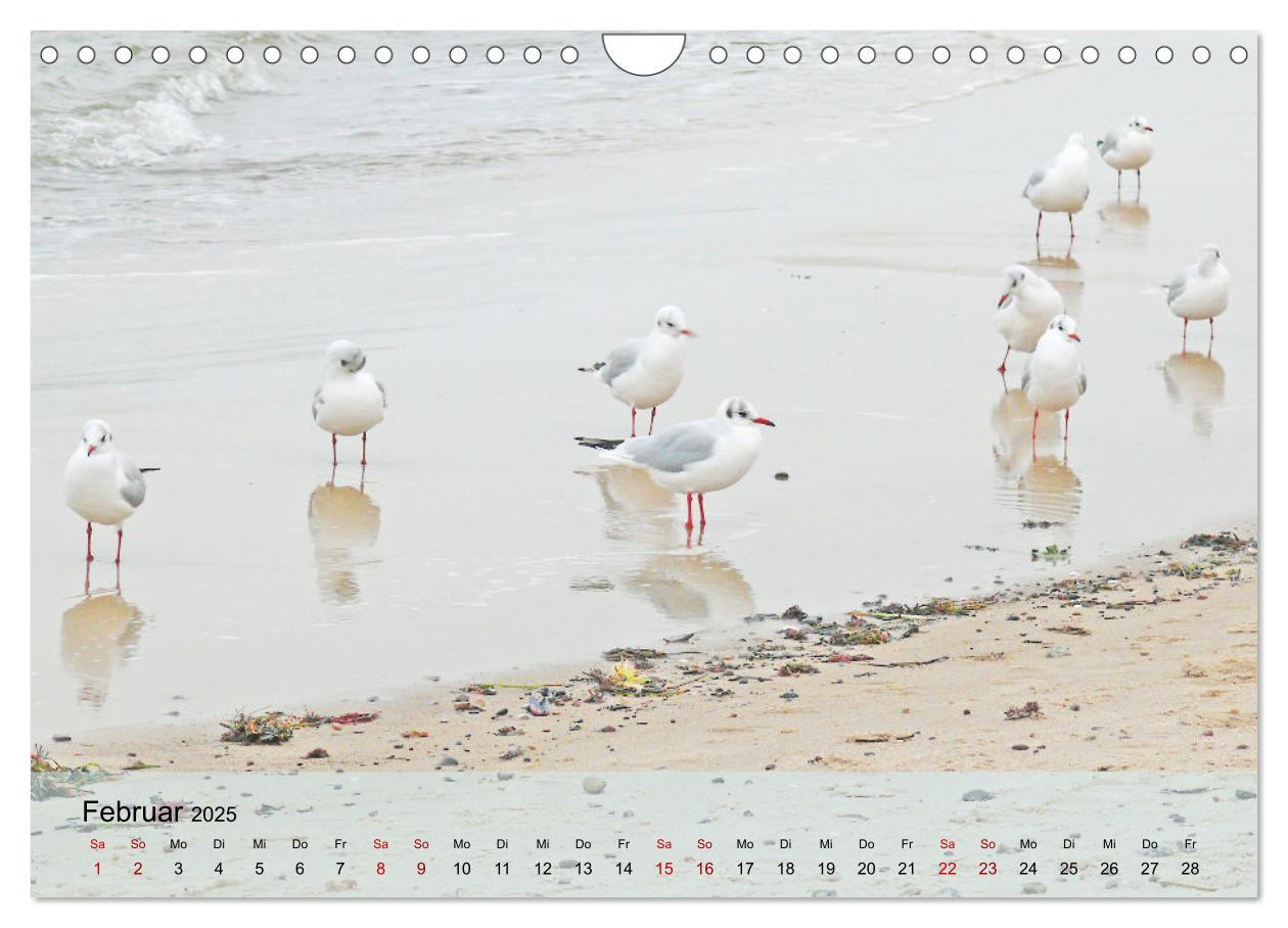 Bild: 9783383953828 | Ostseebad Kühlungsborn. Erholung mit allen Sinnen (Wandkalender...