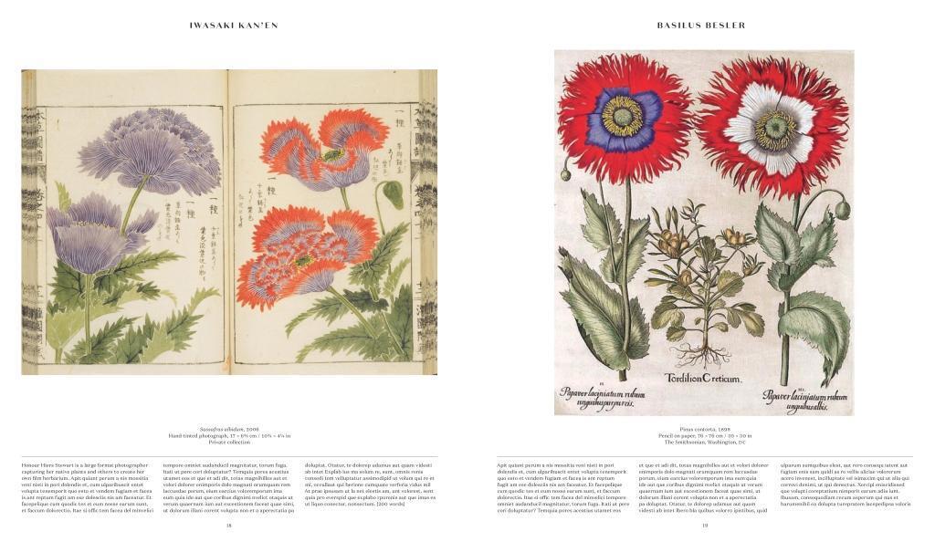 Bild: 9780714871486 | Plant: Exploring the Botanical World | Phaidon Editors | Buch | 2016