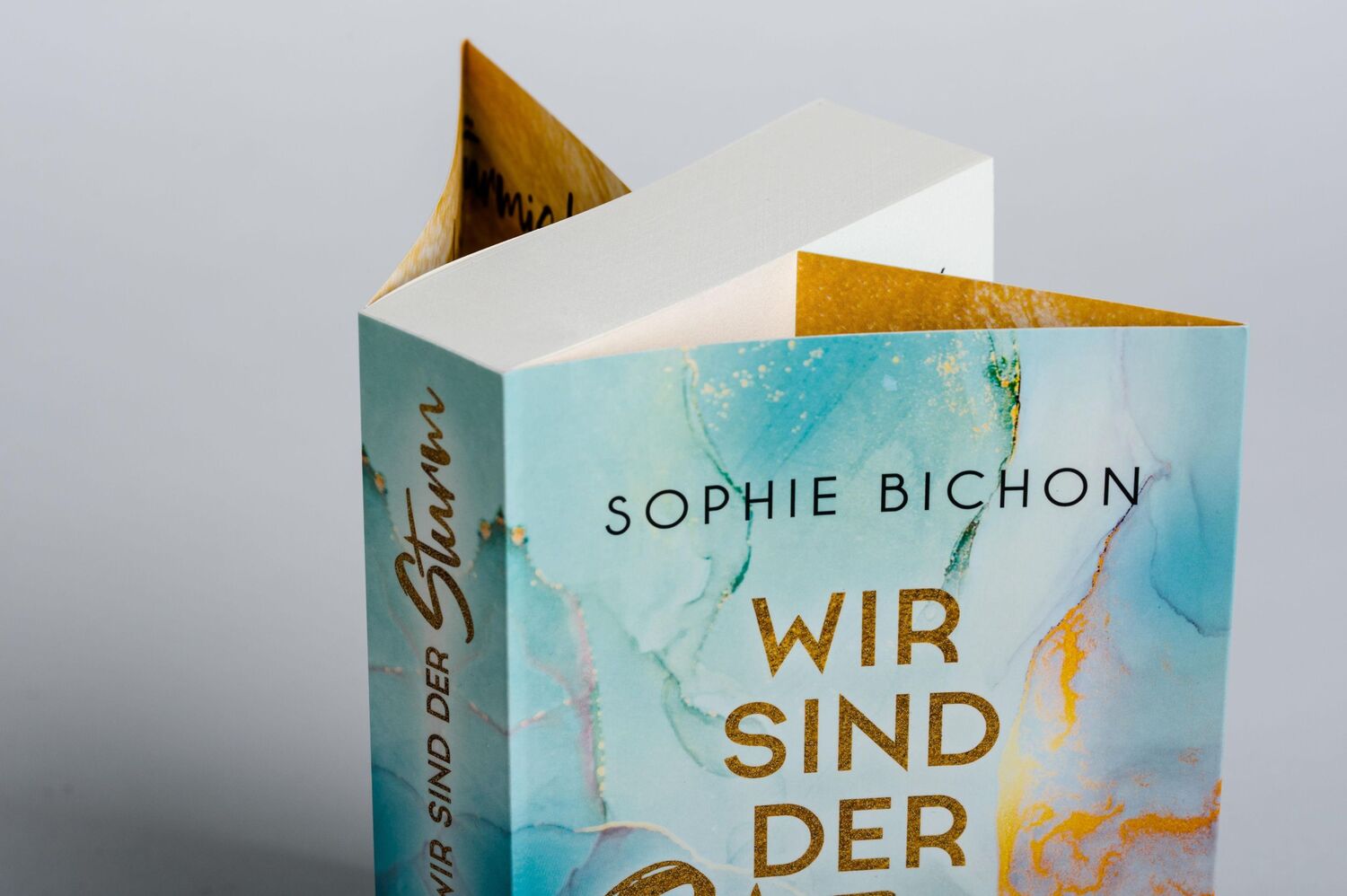 Bild: 9783453423879 | Wir sind der Sturm | Roman | Sophie Bichon | Taschenbuch | 432 S.