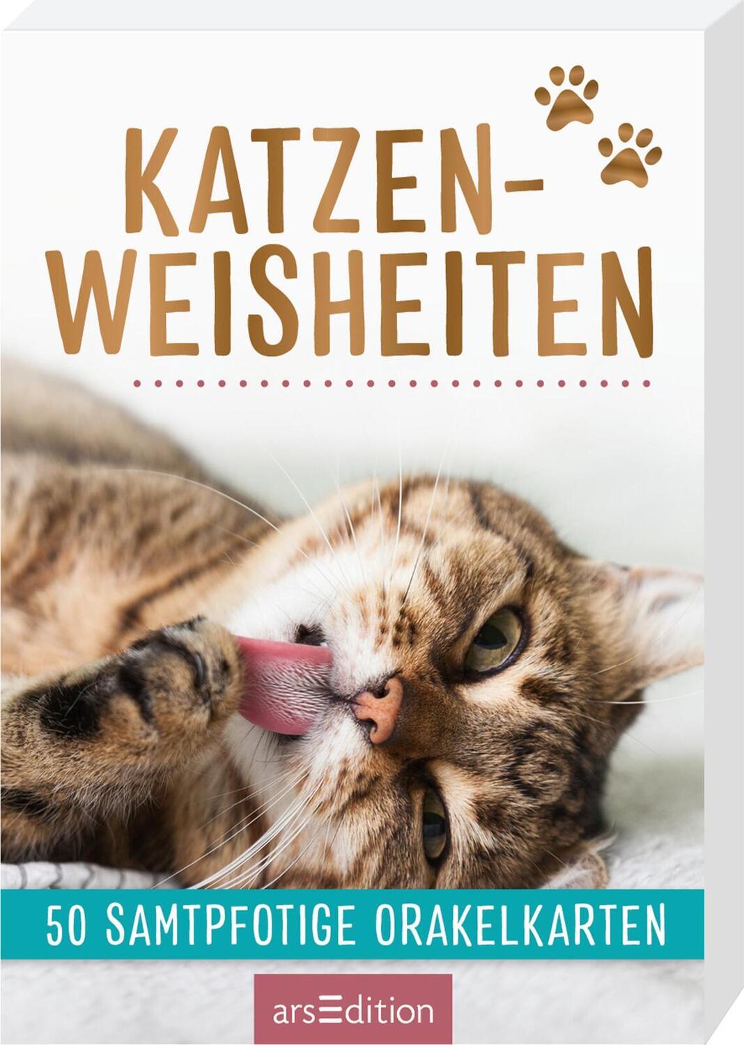 Cover: 9783845841564 | Katzenweisheiten. 50 samtpfotige Orakelkarten | Taschenbuch | 51 S.