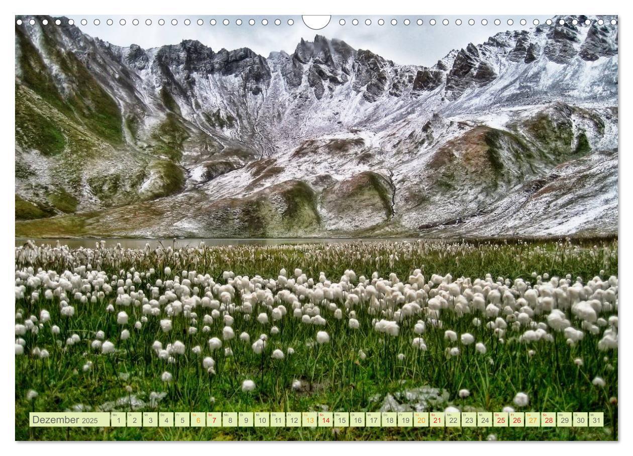 Bild: 9783435473502 | Blumenwiesen ¿ ein blütenzauberhaftes Jahr (Wandkalender 2025 DIN...