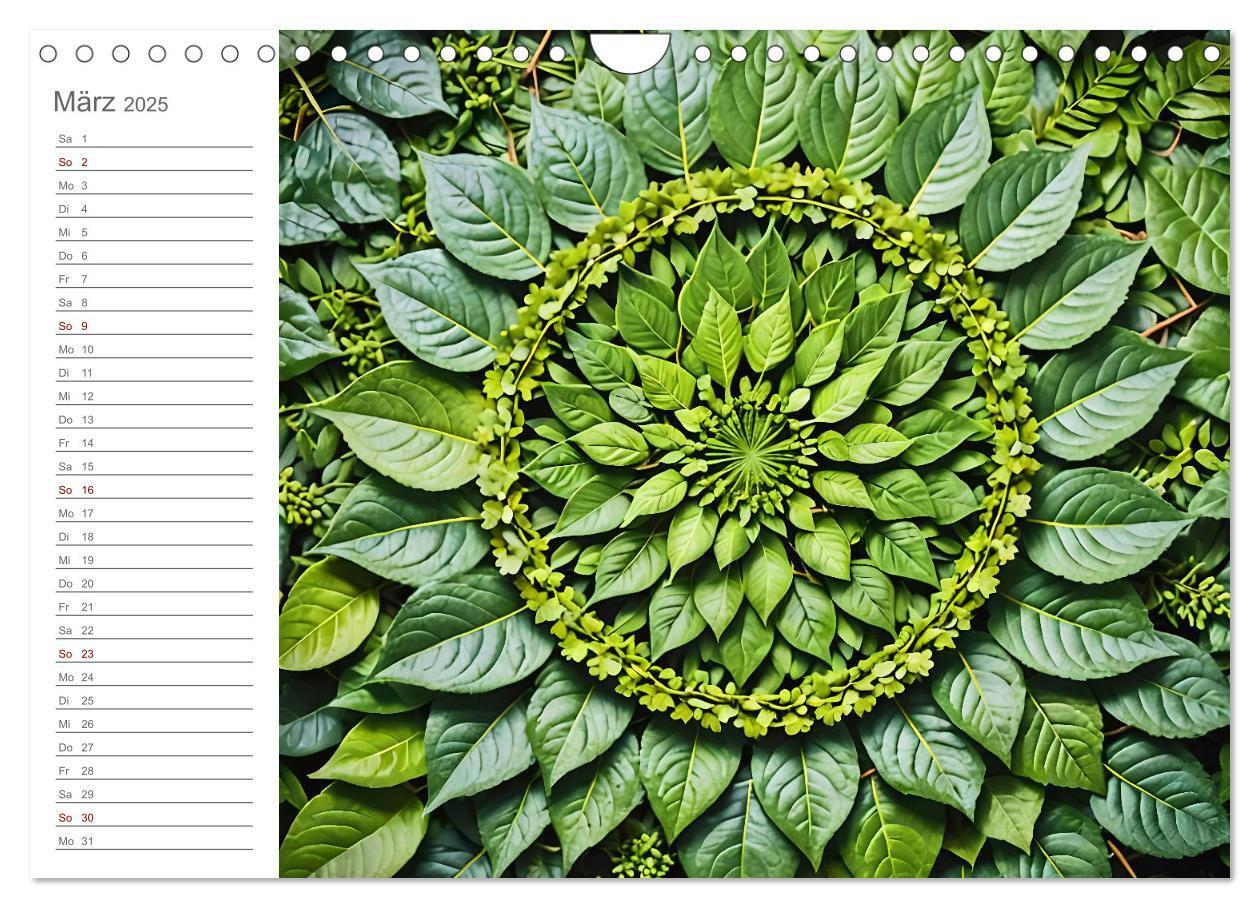 Bild: 9783457156575 | Natural Mandalas - Kraftvolle KI Mandalas aus Naturmaterialien...