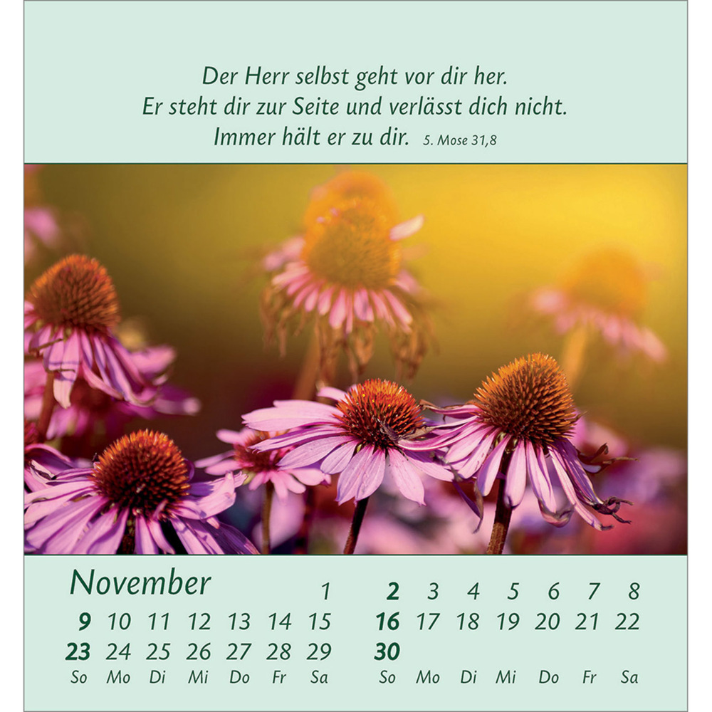 Bild: 9783754847053 | Kleine Blumengrüße 2025 | Kalender | Spiralbindung. Spiralbindung