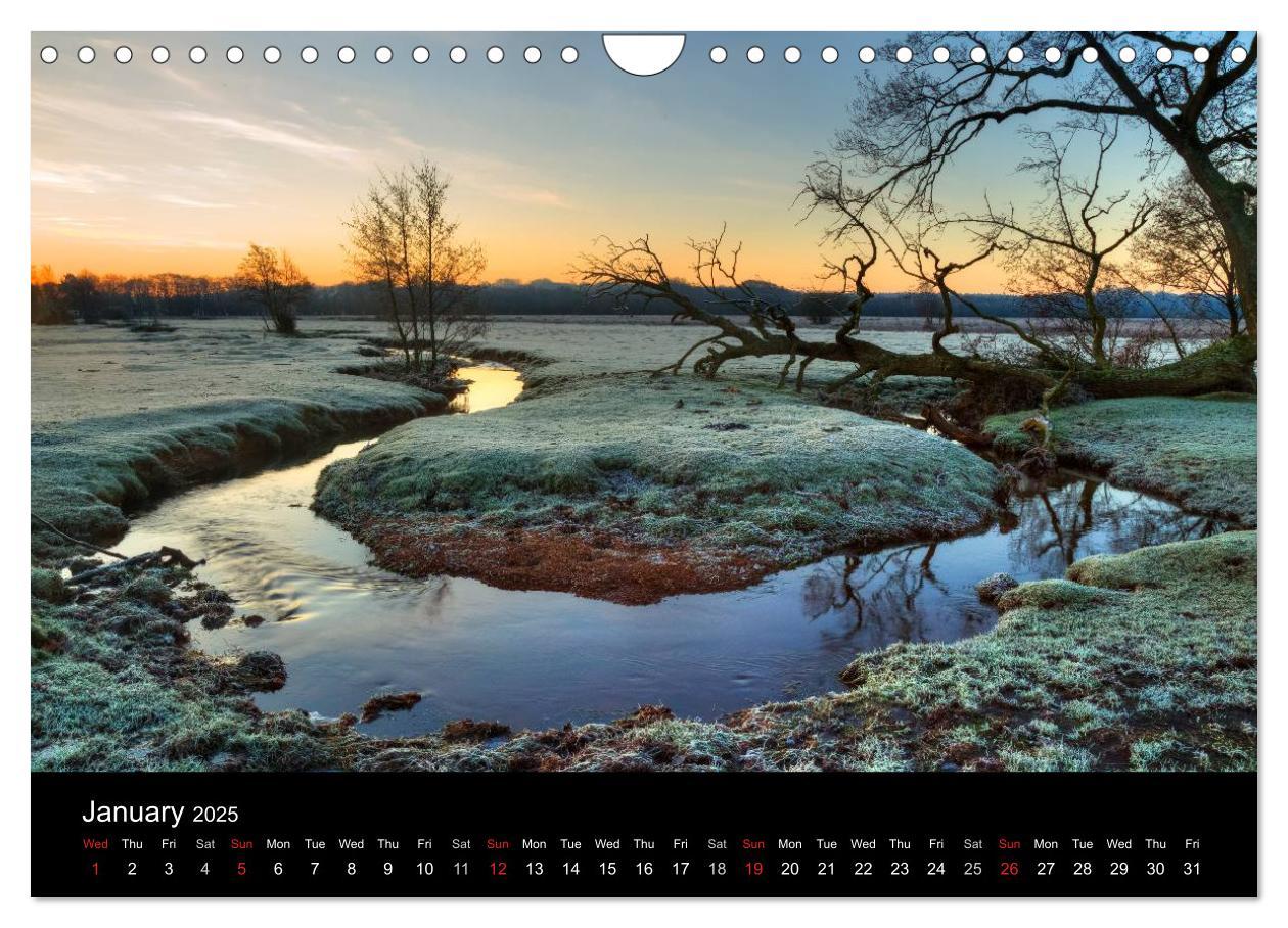 Bild: 9781325951833 | New Forest Hampshire (Wall Calendar 2025 DIN A4 landscape),...