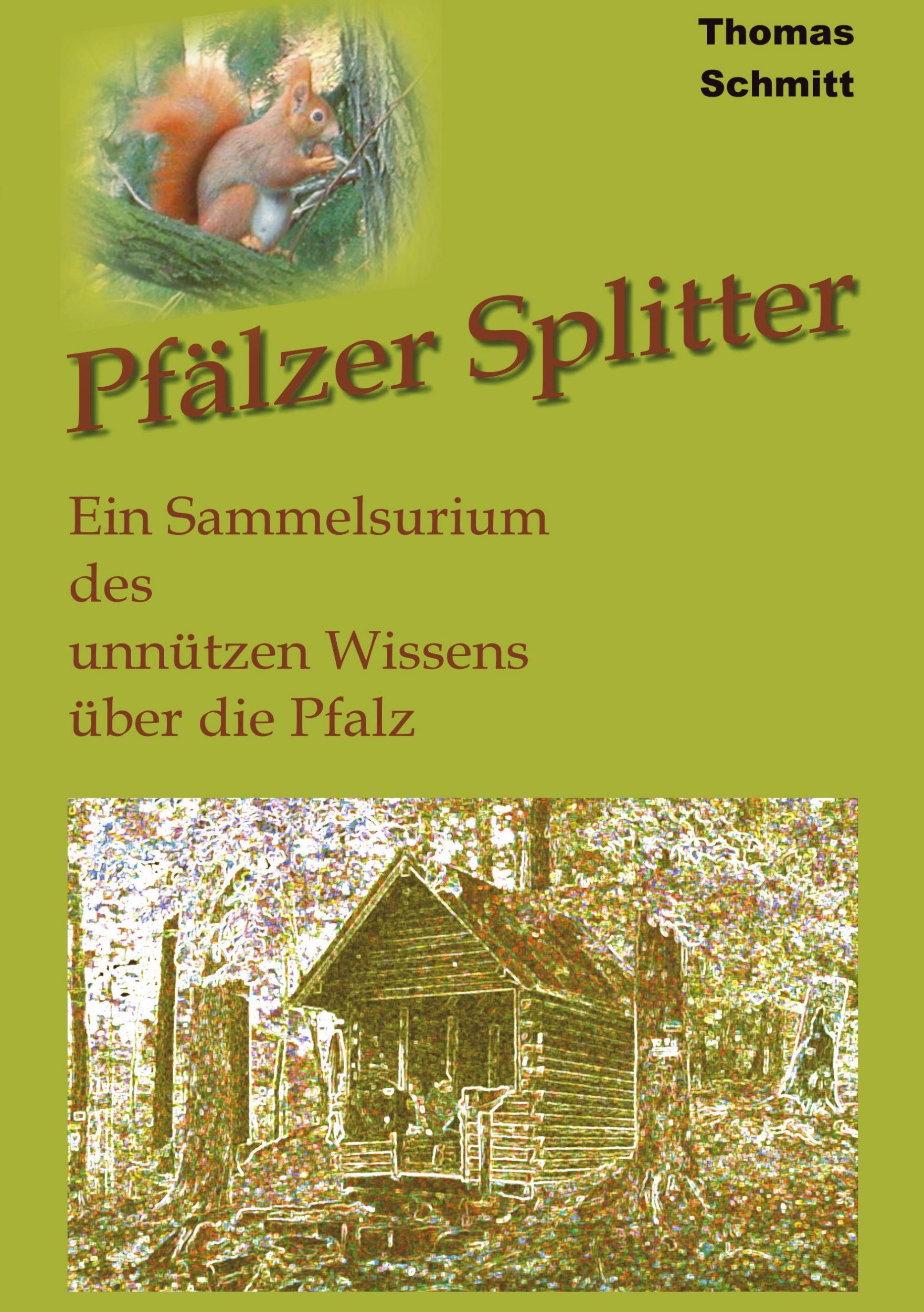 Cover: 9783937760018 | Pfälzer Splitter | Thomas Schmitt | Taschenbuch | 164 S. | Deutsch