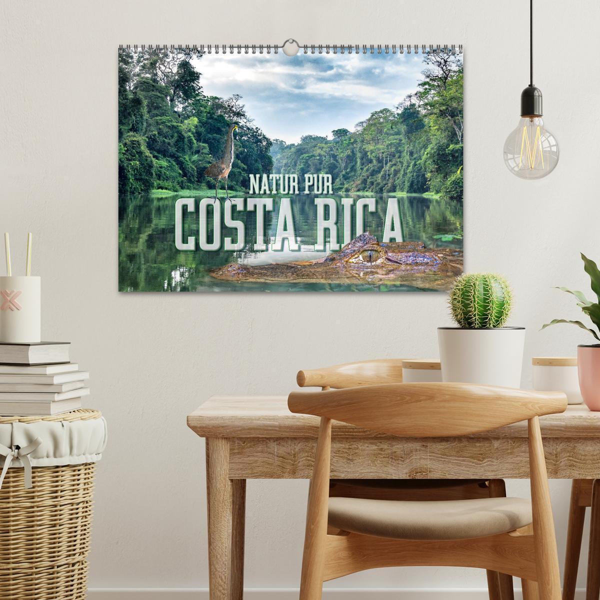 Bild: 9783435372492 | Natur pur, Costa Rica (Wandkalender 2025 DIN A3 quer), CALVENDO...