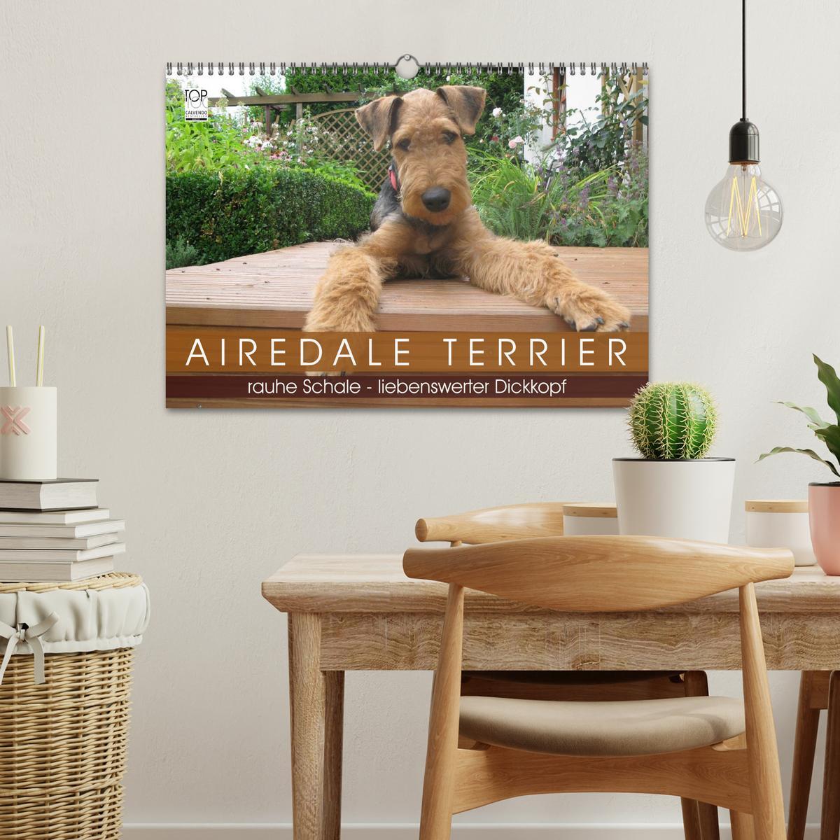 Bild: 9783435665488 | Airedale Terrier (Wandkalender 2025 DIN A3 quer), CALVENDO...