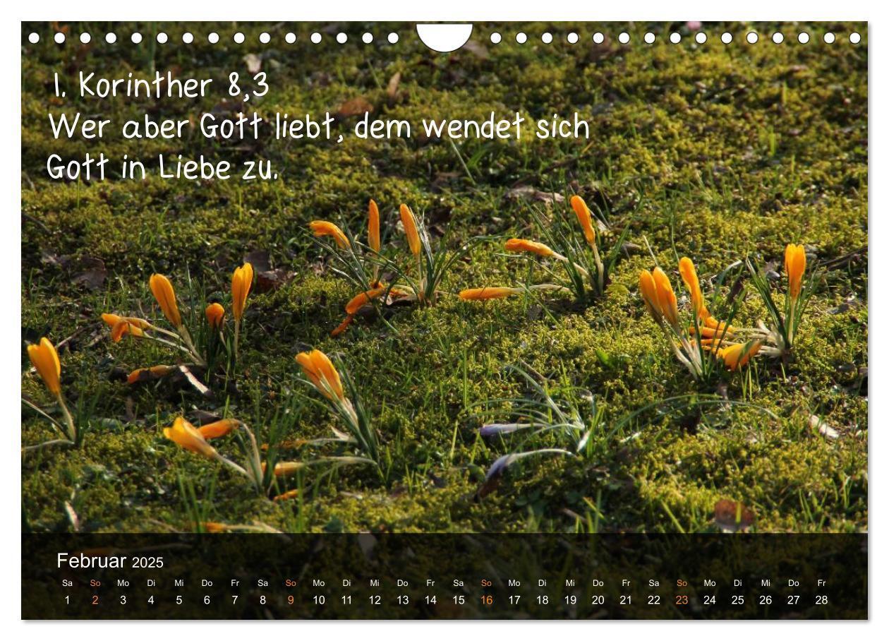 Bild: 9783435768240 | Schöpfung im Licht (Wandkalender 2025 DIN A4 quer), CALVENDO...