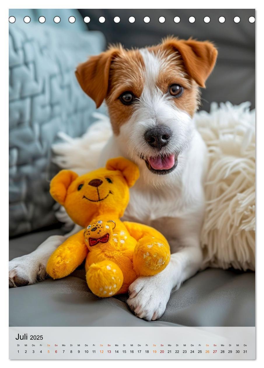 Bild: 9783383778865 | Jack Russel Terrier - furchtlos und viel Selbstvertrauen...