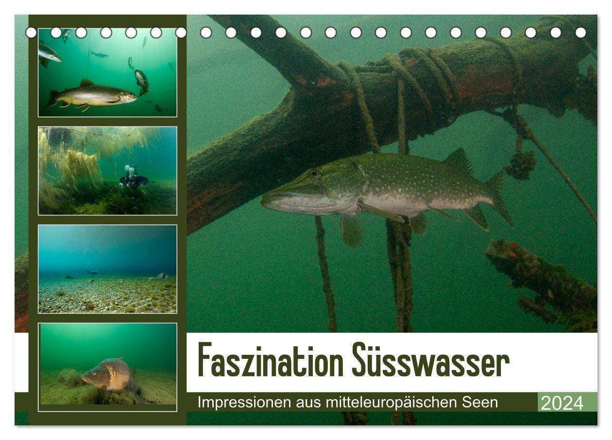Cover: 9783383216633 | Faszination Süsswasser (Tischkalender 2024 DIN A5 quer), CALVENDO...