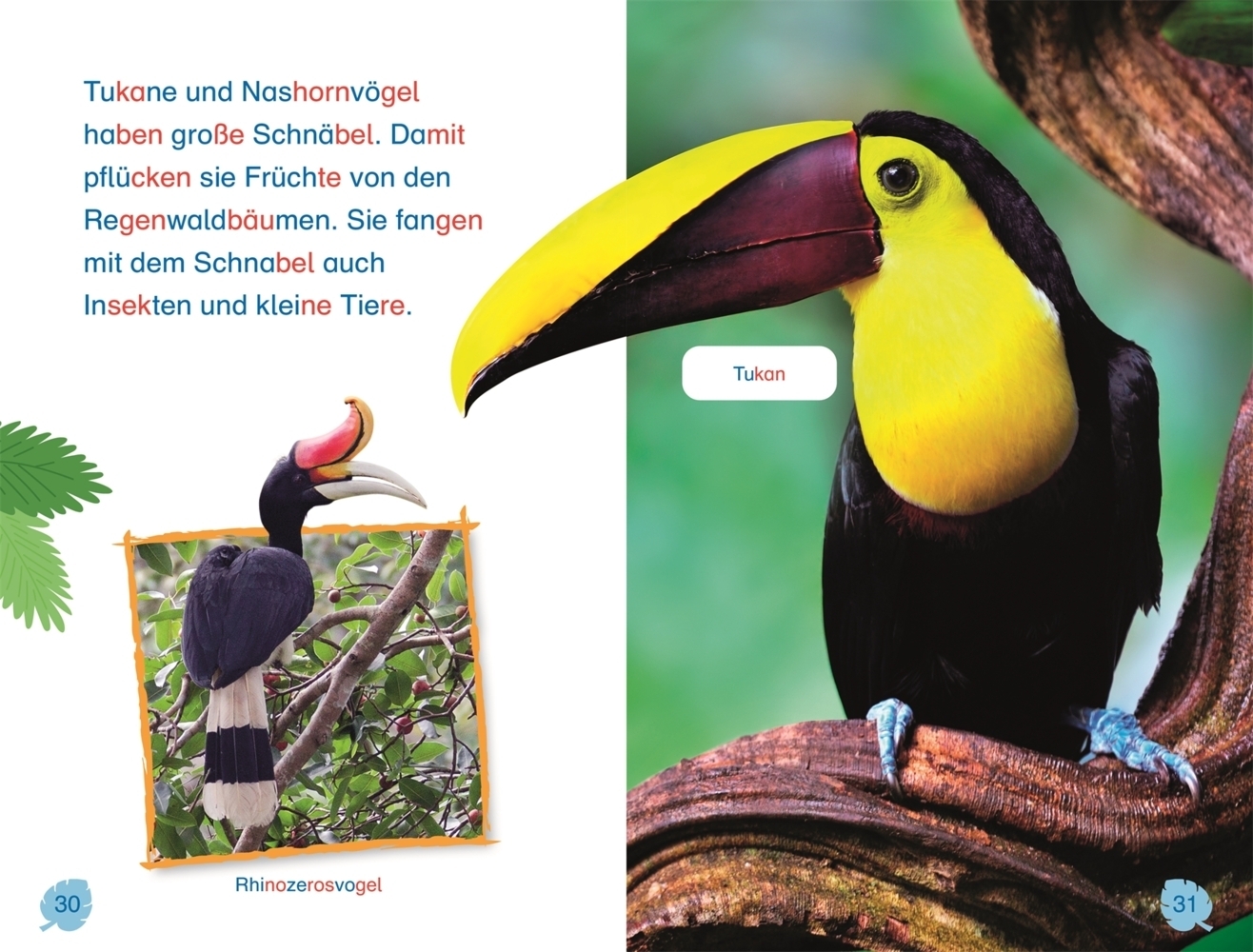 Bild: 9783831043286 | SUPERLESER! Tiere des Regenwalds | Caryn Jenner | Buch | 48 S. | 2022