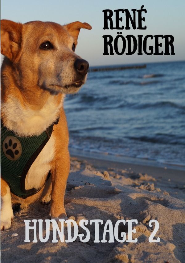 Cover: 9783758419386 | Hundstage 2 | Die Offenbarung der Nebelfee | René Rödiger | Buch