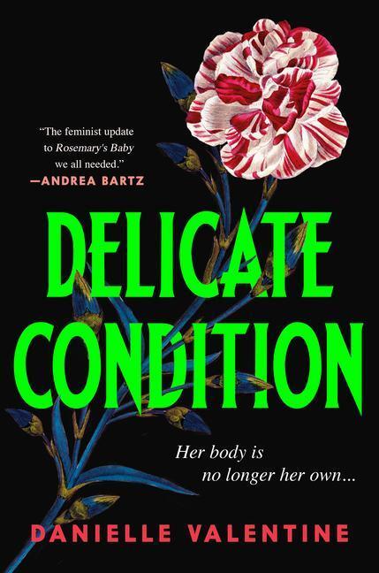 Cover: 9781728276885 | Delicate Condition | Danielle Valentine | Buch | Englisch | 2023