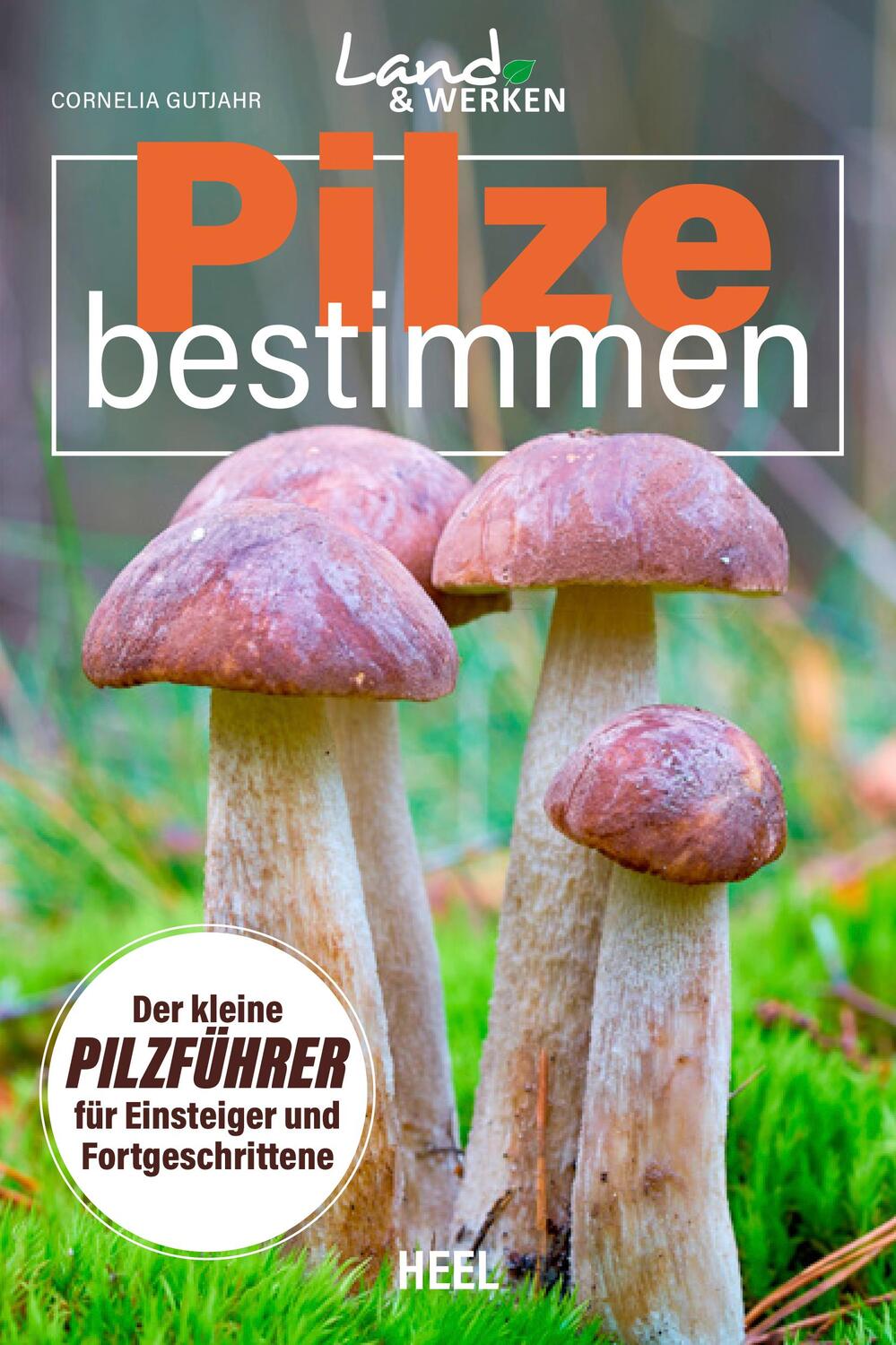 Cover: 9783966645249 | Pilze bestimmen - Der kleine Pilzführer für Einsteiger und...