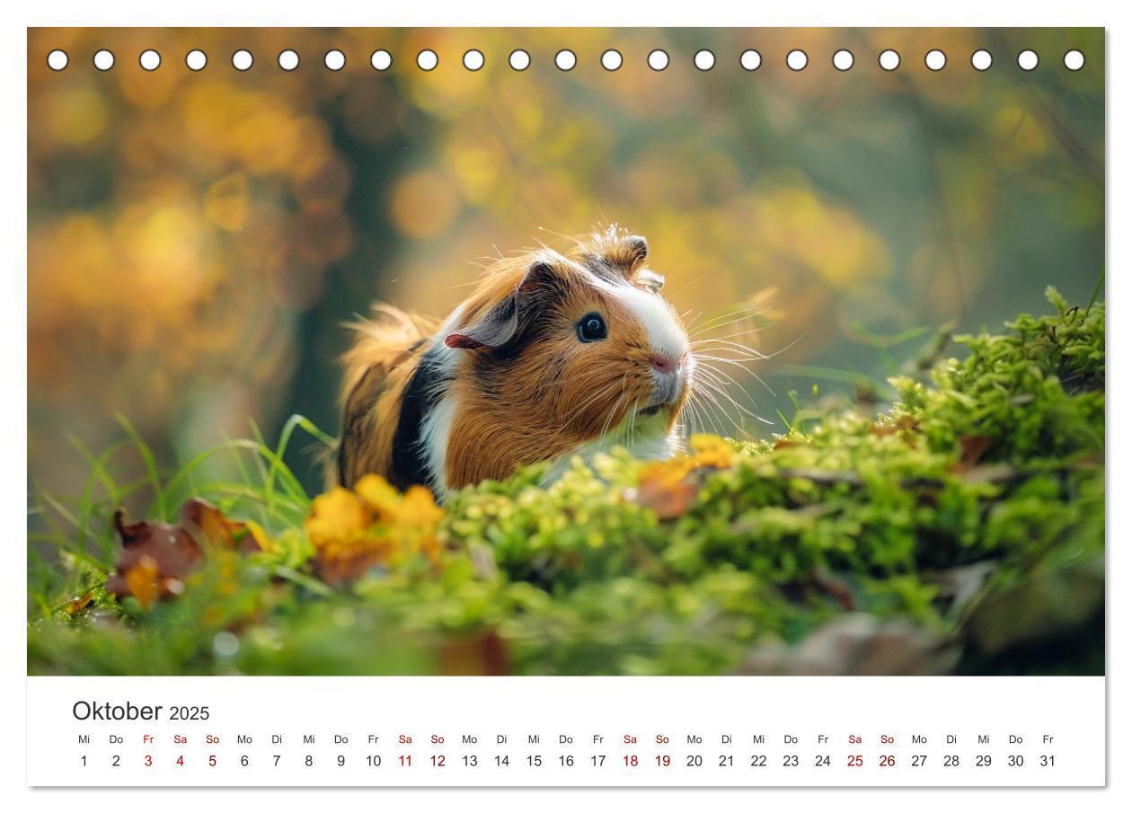 Bild: 9783383812378 | Wuschelbande - Ein Jahr voller Meerschweinchen (Tischkalender 2025...