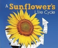 Cover: 9781474743273 | Dunn, M: A Sunflower's Life Cycle | Mary R. Dunn | Gebunden | Englisch
