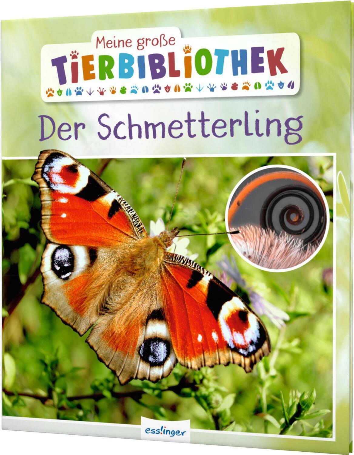 Cover: 9783480236206 | Meine große Tierbibliothek: Der Schmetterling | Valérie Tracqui | Buch