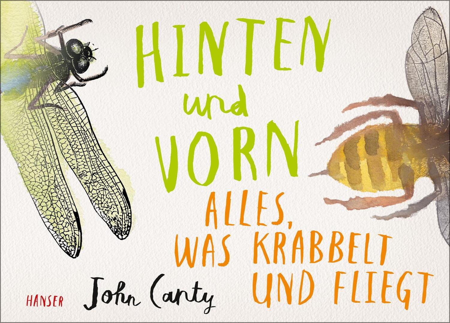 Cover: 9783446262089 | Hinten und vorn - Alles, was krabbelt und fliegt | John Canty | Buch