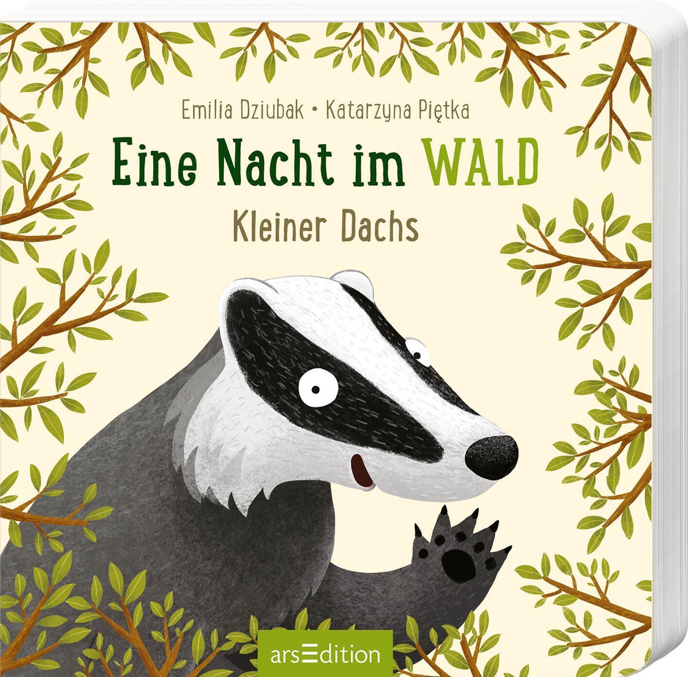 Cover: 9783845851198 | Eine Nacht im Wald: Kleiner Dachs | Katarzyna Pietka | Buch | 30 S.