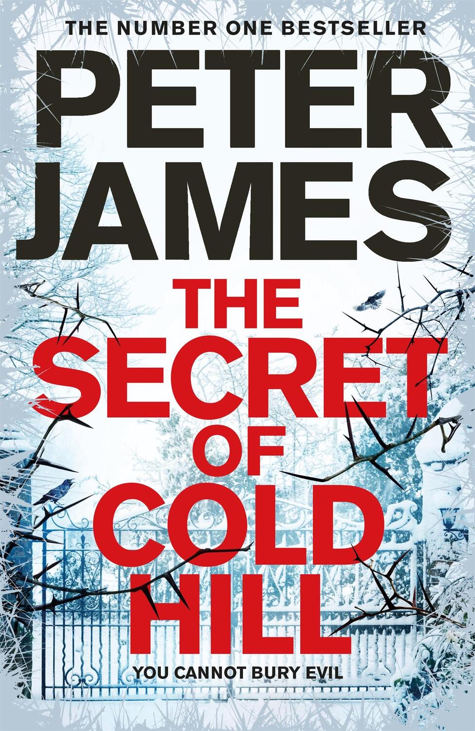 Cover: 9781509816231 | The Secret of Cold Hill | Peter James | Buch | Gebunden | Englisch