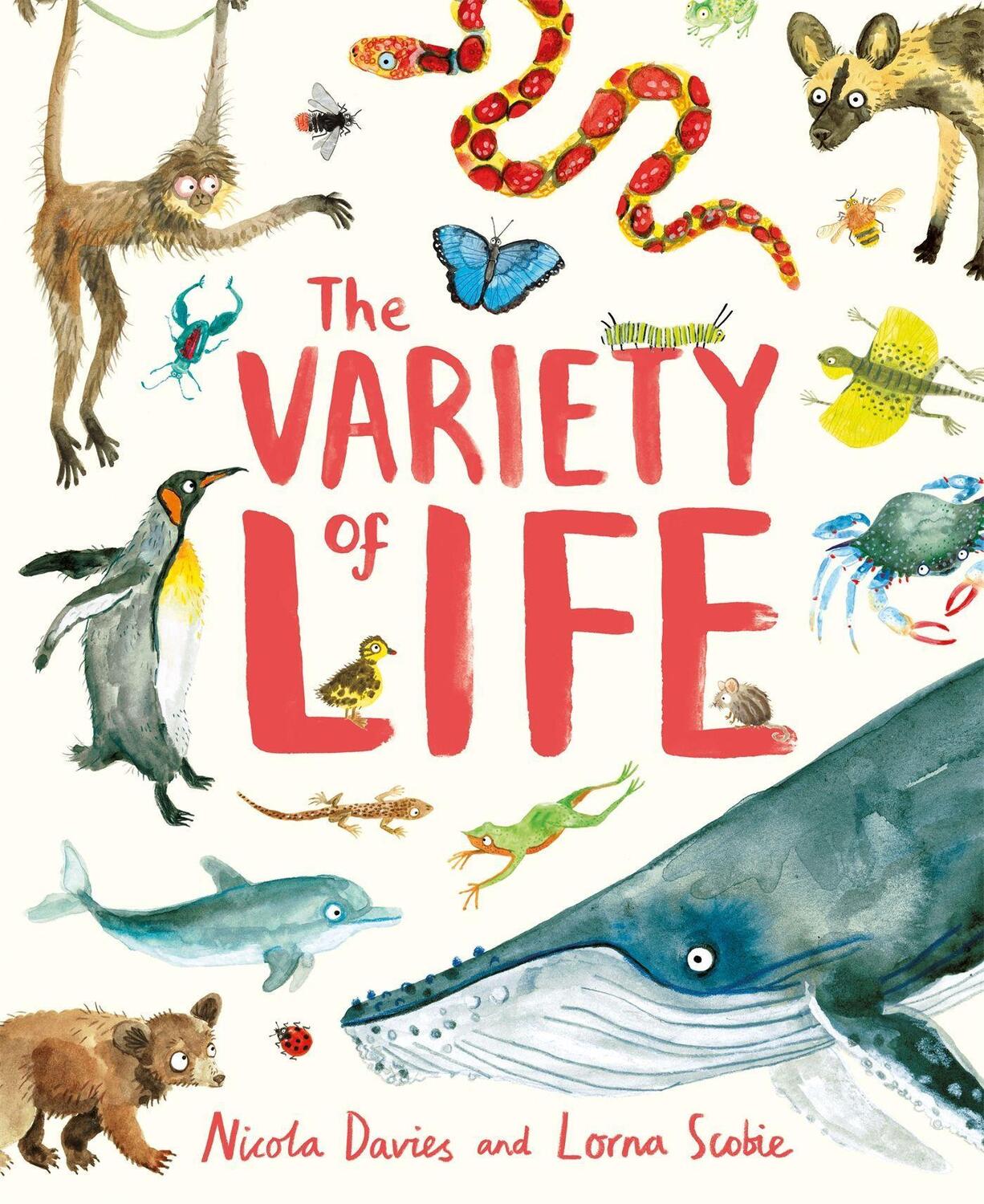 Cover: 9781444931198 | The Variety of Life | Nicola Davies | Buch | Englisch | 2017