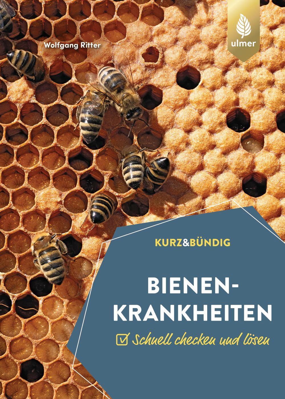Cover: 9783818617691 | Bienenkrankheiten | Schnell checken und lösen. KURZ UND BÜNDIG | Buch
