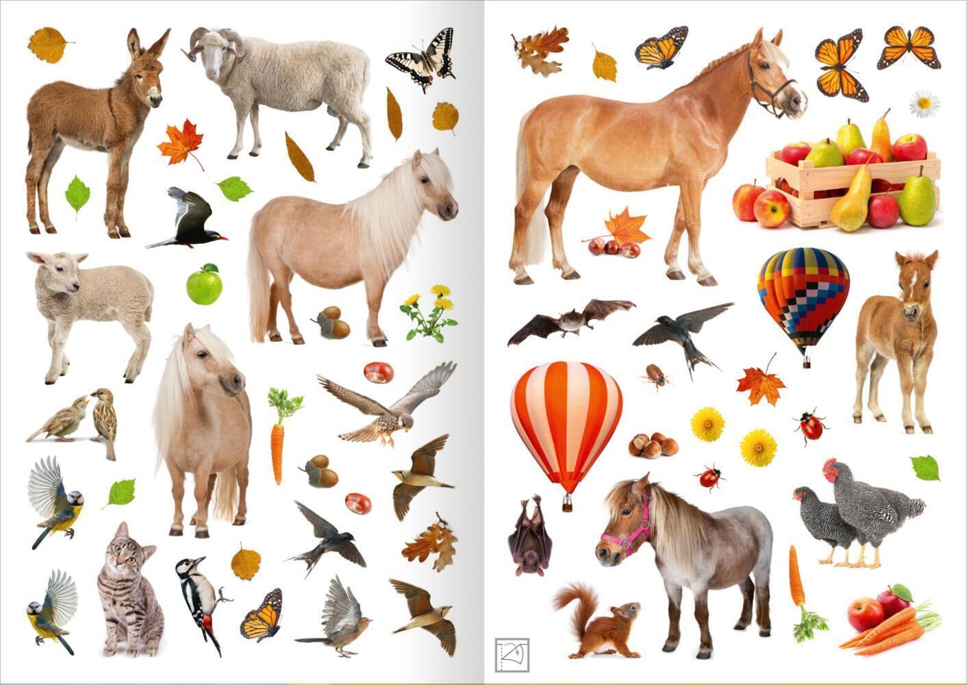 Bild: 9783845848310 | Mein Foto-Stickerspaß - Pferde | Über 200 Foto-Sticker | Taschenbuch