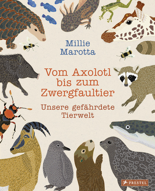 Cover: 9783791374109 | Vom Axolotl zum Zwergfaultier | Unsere gefährdete Tierwelt | Marotta