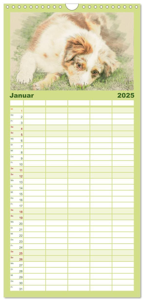 Bild: 9783457121177 | Familienplaner 2025 - Hundewelpen 2025 mit 5 Spalten (Wandkalender,...