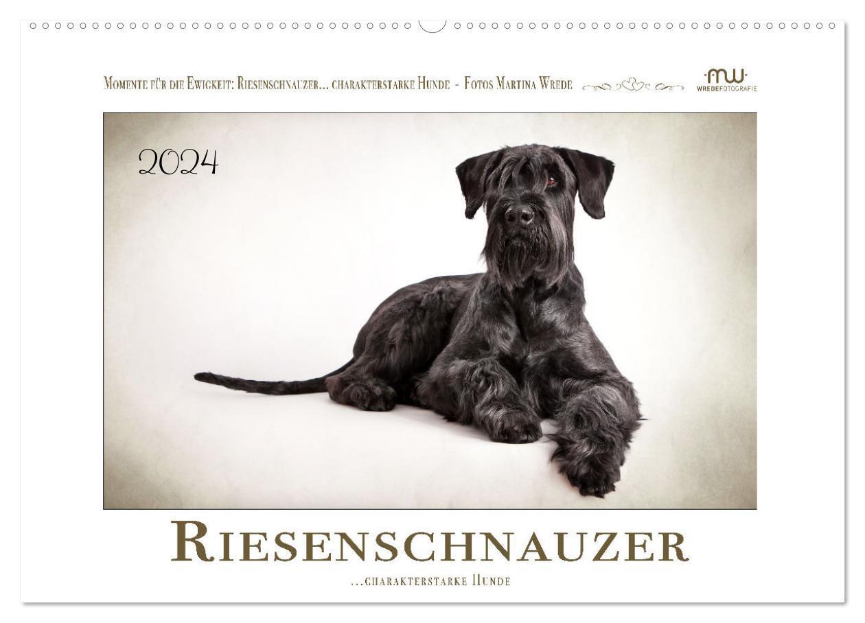 Cover: 9783675422056 | Riesenschnauzer... charakterstarke Hunde (Wandkalender 2024 DIN A2...