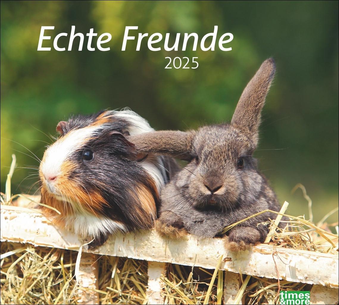 Cover: 9783756406906 | Echte Freunde Bildkalender 2025 | Heye | Kalender | Spiralbindung