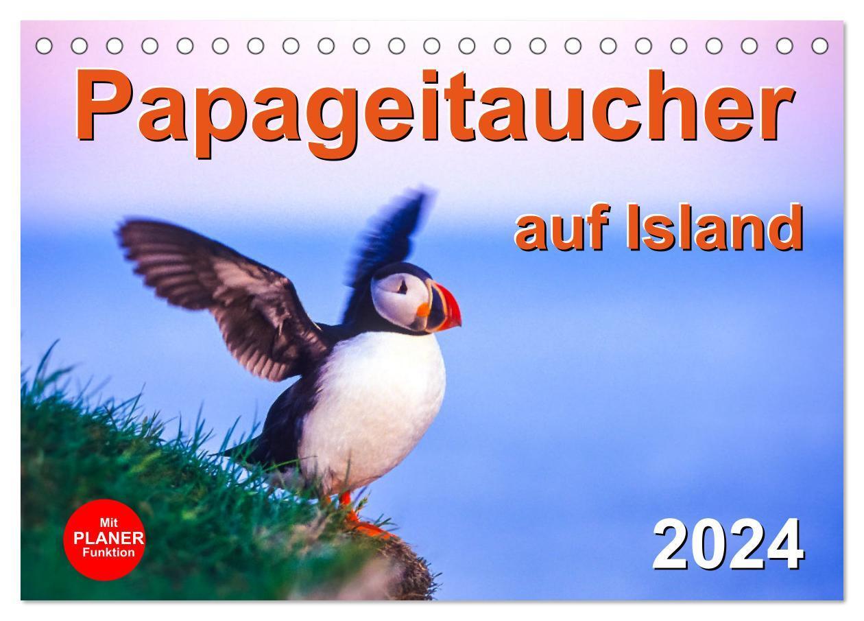 Cover: 9783675504073 | Papageitaucher auf Island (Tischkalender 2024 DIN A5 quer),...