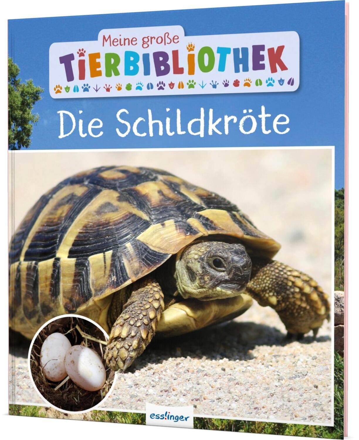 Cover: 9783480237166 | Meine große Tierbibliothek: Die Schildkröte | Axel Gutjahr | Buch