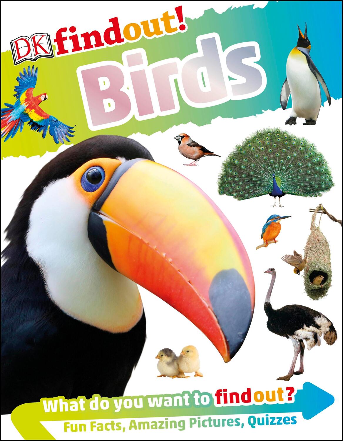 Cover: 9780241358474 | DKfindout! Birds | DK | Taschenbuch | DK find out! | Englisch | 2019