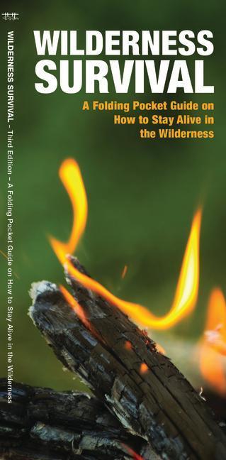 Cover: 9781620053621 | Wilderness Survival | James Kavanagh | Taschenbuch | Englisch | 2019
