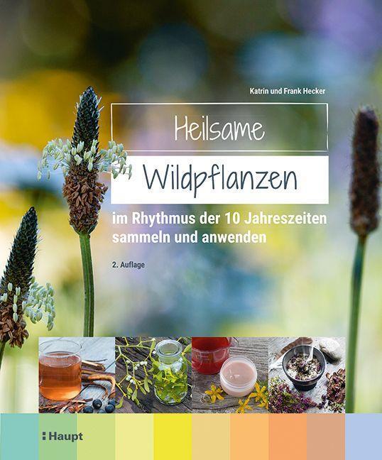 Cover: 9783258083179 | Heilsame Wildpflanzen | Frank Hecker (u. a.) | Buch | Deutsch | 2022