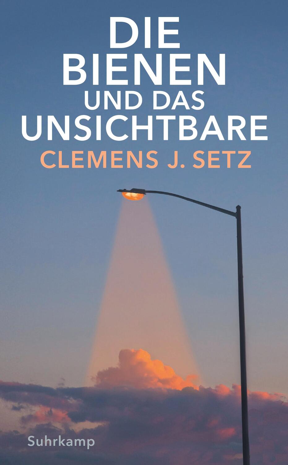 Cover: 9783518472569 | Die Bienen und das Unsichtbare | Clemens J. Setz | Taschenbuch | 2022