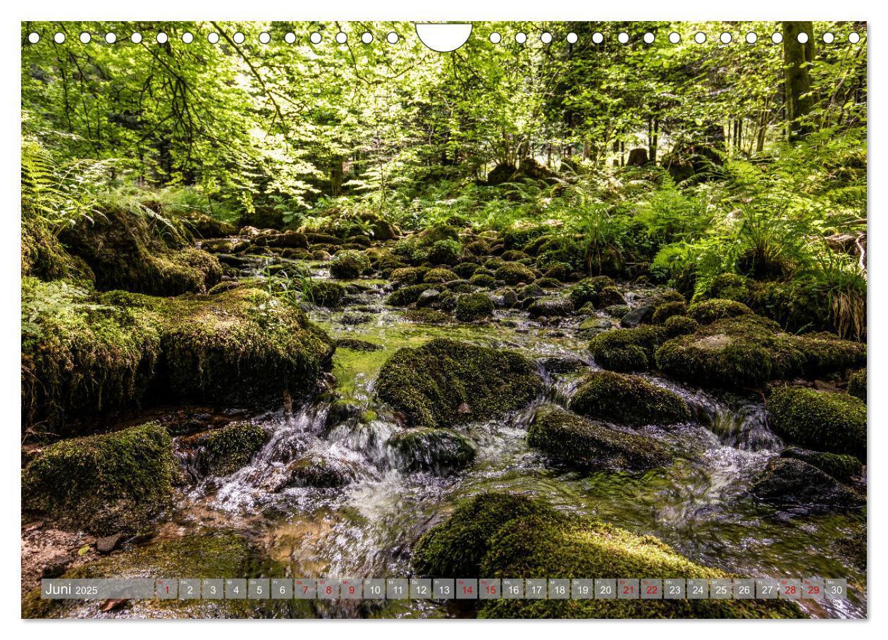 Bild: 9783435077090 | Ein Jahr im Schwarzwald (Wandkalender 2025 DIN A4 quer), CALVENDO...