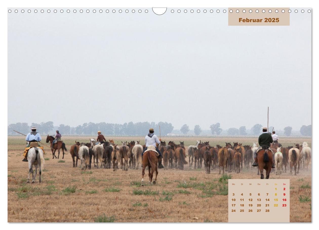 Bild: 9783435105540 | Pferde - Andalusiens wilder Westen (Wandkalender 2025 DIN A3 quer),...