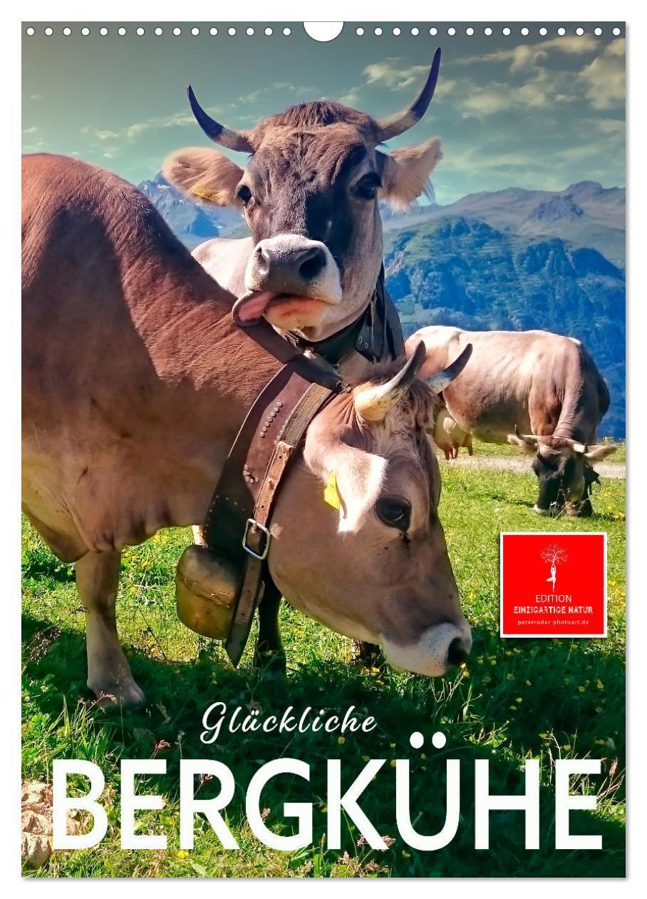 Cover: 9783435903993 | Glückliche Bergkühe (Wandkalender 2025 DIN A3 hoch), CALVENDO...